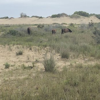 Back Country Safari Tours - Historical Tours Near Me - Corolla, North Carolina Back Country Safari Tours - Historical Tours Near Me - Corolla, North Carolina