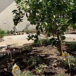 New Beginnings Christian Preschool