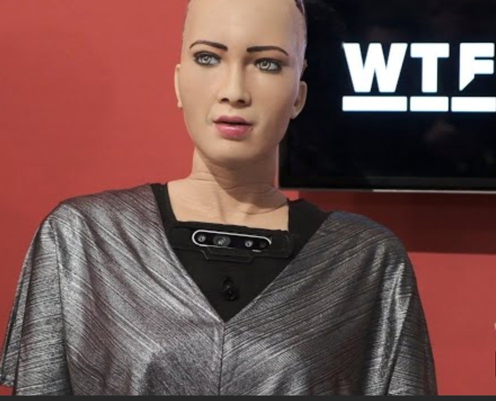 BUG HOUSE PEST CONTROL Updated August 2024 1022 Hillcrest Pkwy