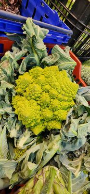 La Concepció Market by null