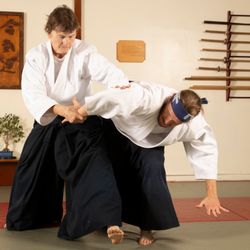Aikido Cultural Institute - Sara Nielsen
Shidoin
Chief Instructor
6th degree black belt