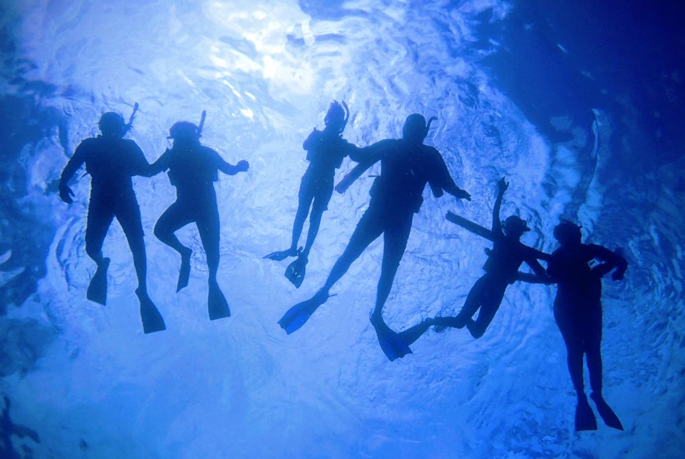 Snorkel Off the Beach Maui Logo