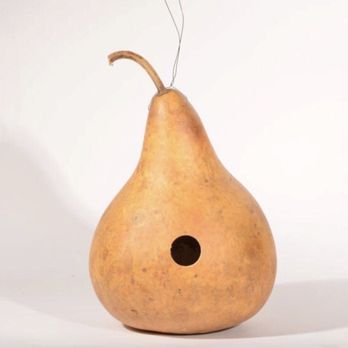 Edwards' Christmas Tree Farm - Gourd birdhouse - Christmas Trees Near Me - Wrightstown, New Jersey