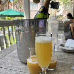 Mimosa Flight Mimosa Flight