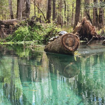 Ichetucknee Springs - Rafting/Kayaking Near Me - Fort White, Florida Ichetucknee Springs - Rafting/Kayaking Near Me - Fort White, Florida