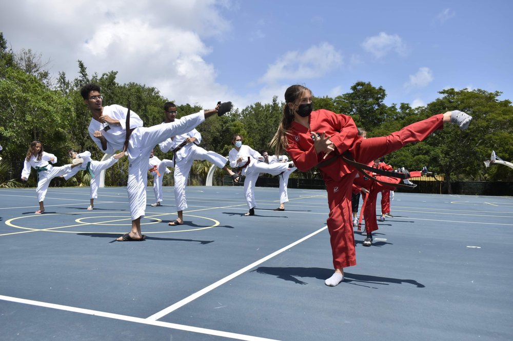 K martial arts Logo