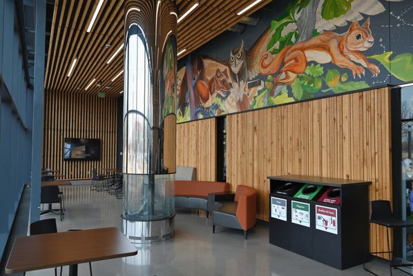 Bell Museum by null