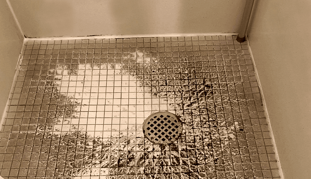 Slide of Drain Cleaning