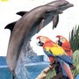 Photo of Marineland und Aquapark
