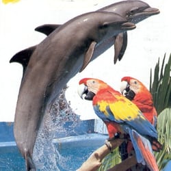 Marineland und Aquapark - Marineland und Aquapark Malgrat 2008