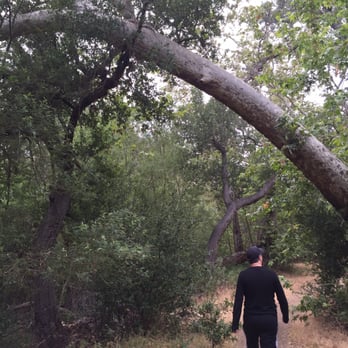 Solstice Canyon - Some of the gorgeous scenery! - Parks Near Me - Malibu, California