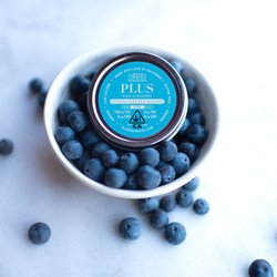 Kolas Fruitridge - Plus Gummies 100mg Sour Blueberry