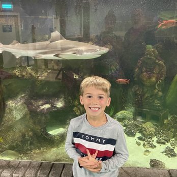 SeaQuest - Folsom - Lots to see - Aquariums Near Me - Folsom, California SeaQuest - Folsom - Lots to see - Aquariums Near Me - Folsom, California