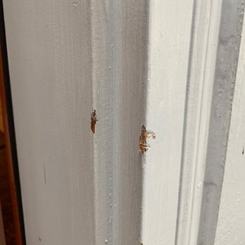 DiamondStar Ltd. - Front entry door damage. - Appliances & Repair Near Me