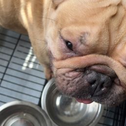 Wont ever go back our babies were very dehydrated and they irritated one if my babies eyes! I don't think they pay attention to our babies! Wont ever go back our babies were very dehydrated and they irritated one if my babies eyes! I don't think they pay attention to our babies!