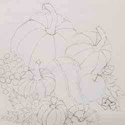 NitRaj Arts - Student artwork, a pencil sketch