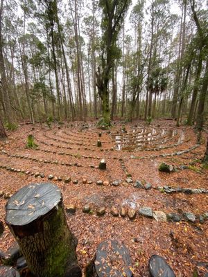 Hostel In the Forest by null