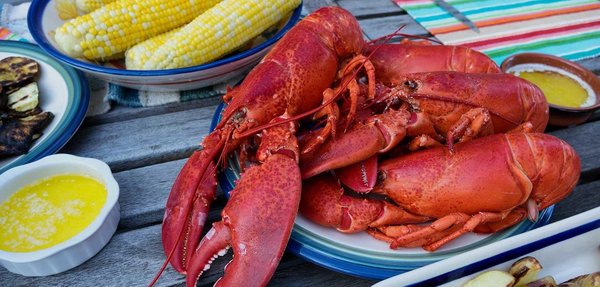 Free Range Fish & Lobster by null