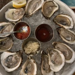 Spring Lake Seafood - East Coast Oysters