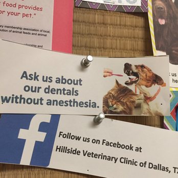 Hillside Veterinary Clinic - Anesthesia free dentals! They are innovative and ahead of the game. - Veterinarians Near Me - Dallas, Texas Hillside Veterinary Clinic - Anesthesia free dentals! They are innovative and ahead of the game. - Veterinarians Near Me - Dallas, Texas
