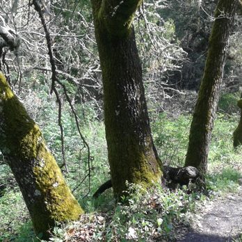 Bishop Ranch Regional Preserve - Hiking Near Me