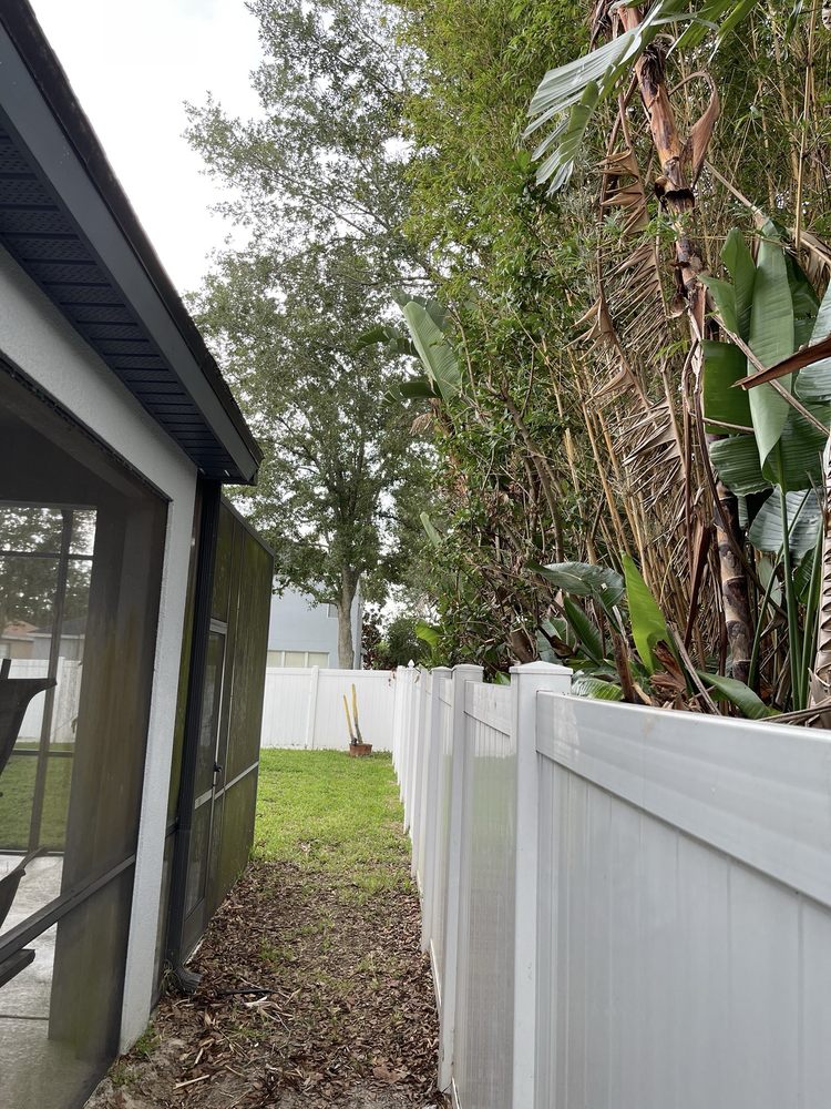 RWB Tree Care - tree service in Windermere, FL