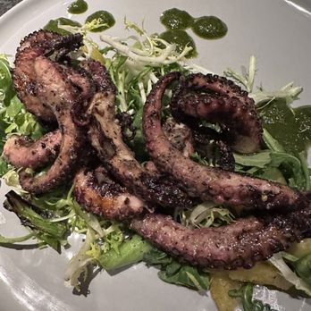 Mandrake - Tapas/Small Plates Near Me - Geneva, Illinois