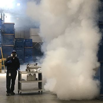 NSB Pest Solutions - Indian meal moth treatment. - Pest Control Near Me NSB Pest Solutions - Indian meal moth treatment. - Pest Control Near Me