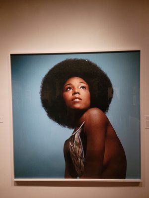 The New York Historical by null