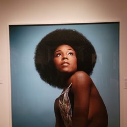 The New York Historical  - This Will Always Be My Favorite Kwame Braithwaite Picture...