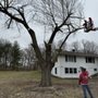 Photo of Total Tree Enterprise
