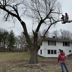 Total Tree Enterprise