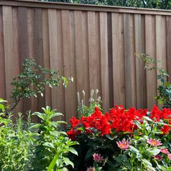 Sunno Construction - Clear Cedar #1 7ft Board on Board Fence