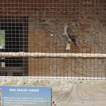 RAPTOR - Community Service/Non-Profit Near Me - Milford, Ohio