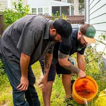 Torpedo Mosquito + Gnat - Pest Control Near Me Torpedo Mosquito + Gnat - Pest Control Near Me