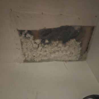 Invitation Homes - Hole that was cut in the ceiling in the linen closet. Took 9 months to repair - Property Management Near Me - Tampa, Florida Invitation Homes - Hole that was cut in the ceiling in the linen closet. Took 9 months to repair - Property Management Near Me - Tampa, Florida