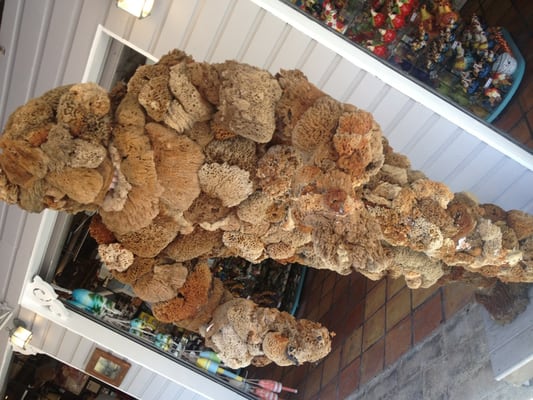 Key West Sponge Market by null