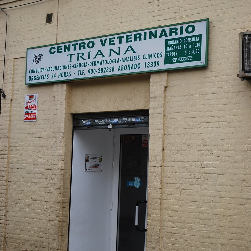 TOP 10 BEST Pet Spay & Neuter in Écija, Sevilla, Spain - Updated 2026 - Yelp
