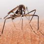 Photo of Premier Pest Control