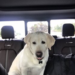 Simply Southern Animal Hospital - Our happy patient!