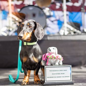 Oktoberfest - Festivals Near Me - Las Vegas, Nevada Oktoberfest - Festivals Near Me - Las Vegas, Nevada