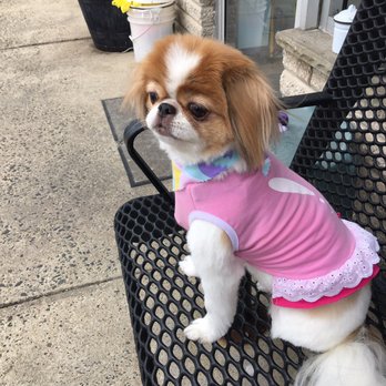 Sophisticated Pooch - Pet Groomers Near Me - Clark, New Jersey
