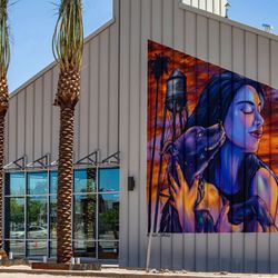 Skinfinity Medspa - Very cool outside outwork on the side of the building!