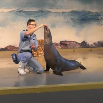 香港海洋公園 - Aquariums Near Me - Hong Kong, HK