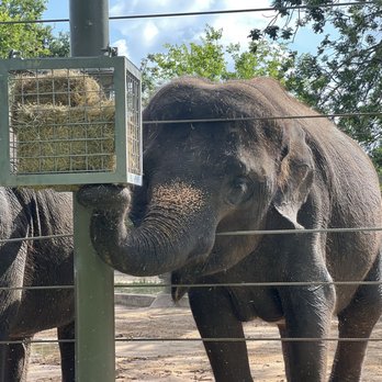 Houston Zoo - Zoos Near Me - Houston, Texas Houston Zoo - Zoos Near Me - Houston, Texas