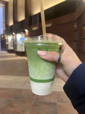 The Wild Fox by null