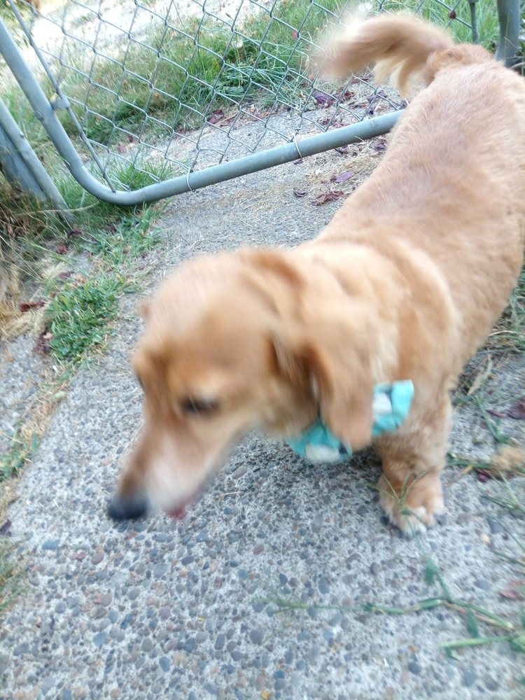 THE GROOM ROOM Updated September 2024 25765 Highway 126,