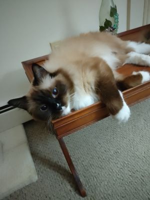 East Providence Urgent Care