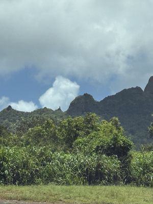 Menehune Fishpond by null