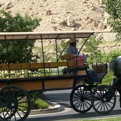 JR's Carriage Service - Our carriage with Savannah.